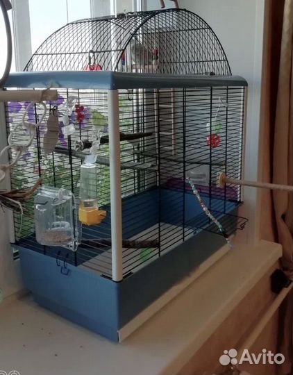 Клетка для попугая корелла