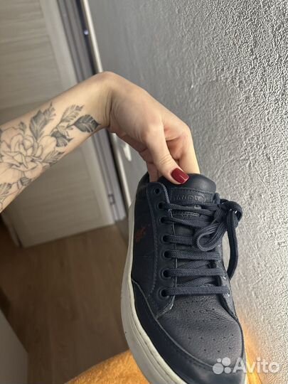 Кеды U. S. Polo Assn