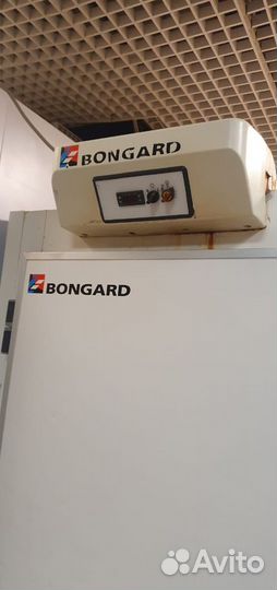 Расстоячный шкаф Bongard BFE