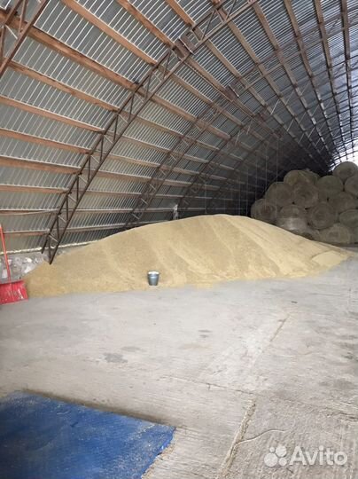 Пшеница Ячмень Кукуруза Овёс комбикорма