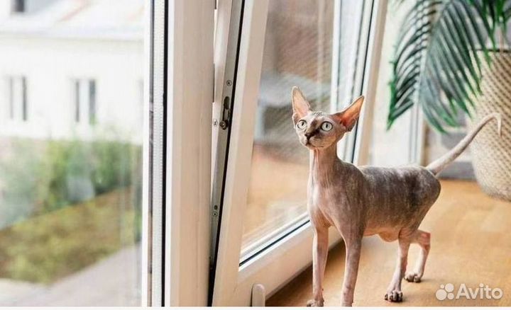 Остекление балкона