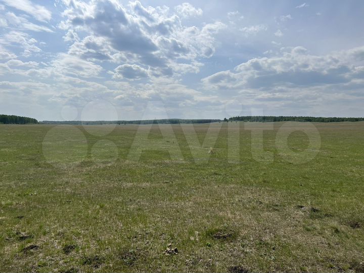 Участок 193 га (СНТ, ДНП)