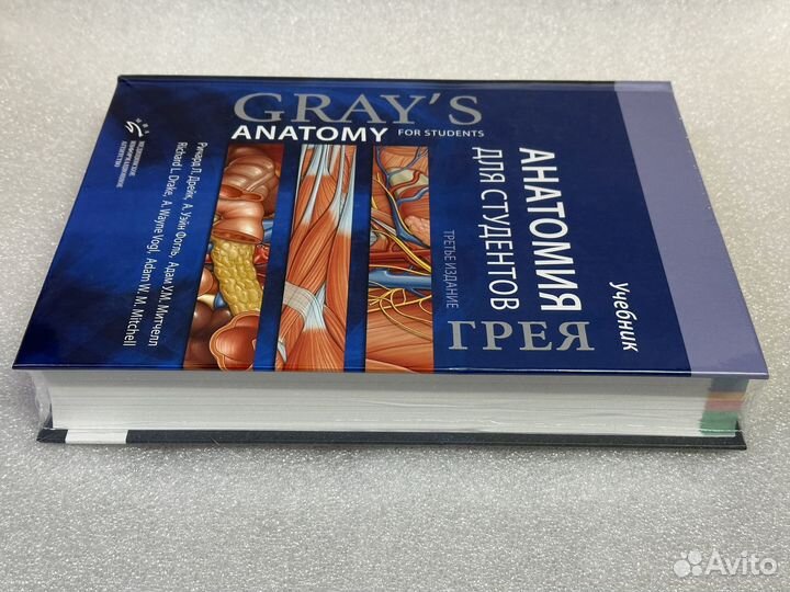 Анатомия Грея для студентов. 3-е изд