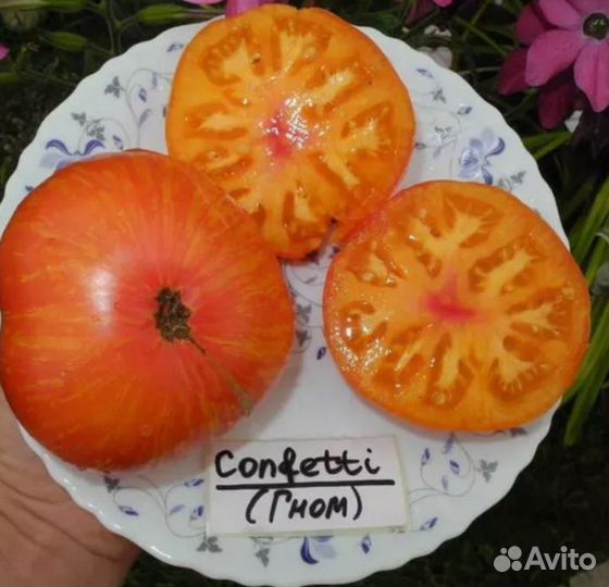 Семена томатов гном