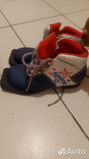 Лыжные ботинки классические spine