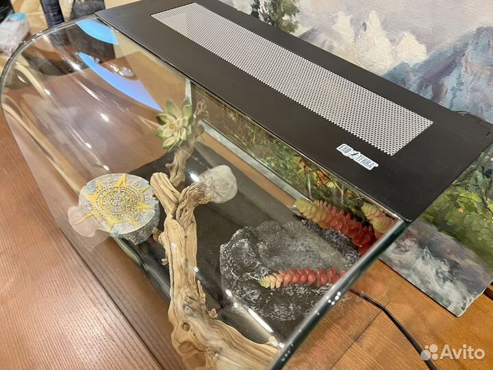 Террариум для рептилий