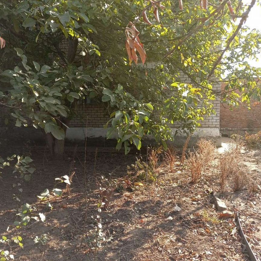 Квартира 2-комн. 50 м² в с. Арзгир — фото 9 из 12