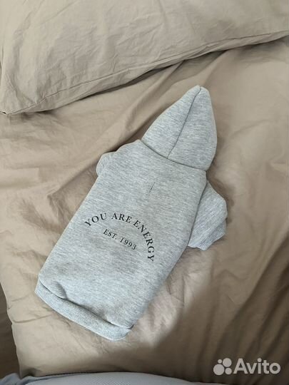 Худи для собак