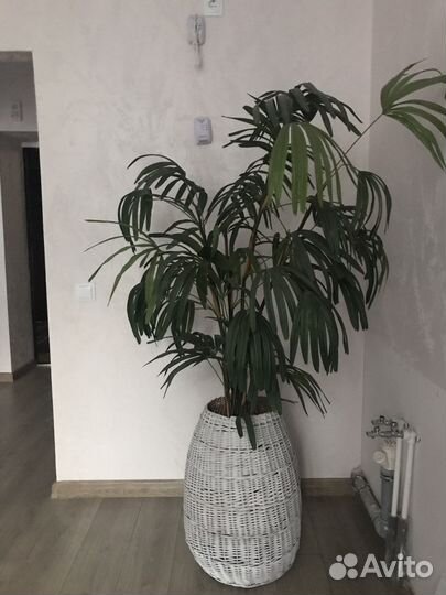 Корзина плетеная из лозы