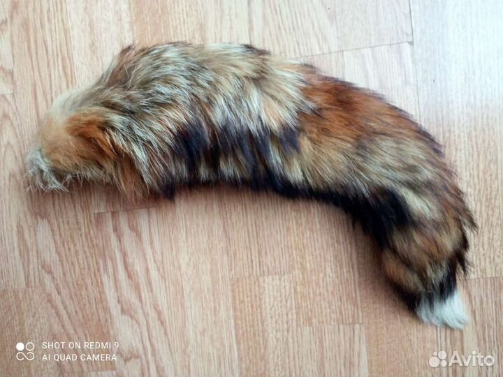 Лисий хвост