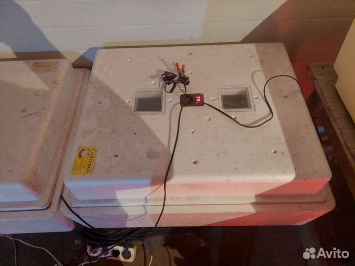 Инкубаторы