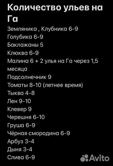 Шмели для опыления от производителя