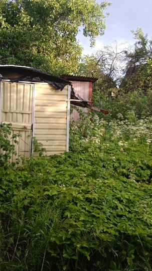 Дача 25 м² на участке 6 сот.