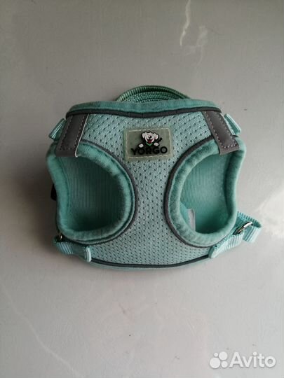 Шлейка для маленькой собаки