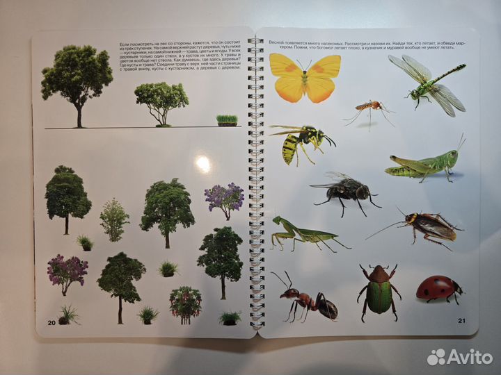 Рабочая тетрадь Юлии Фишер природа 2-3 лет