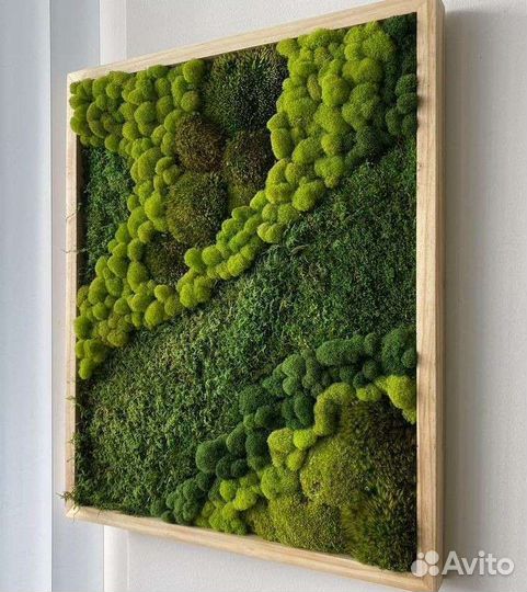 Панно из стабилизированного мха
