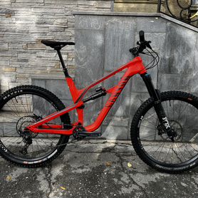 Canyon Spectral AL 6.0 2021 L