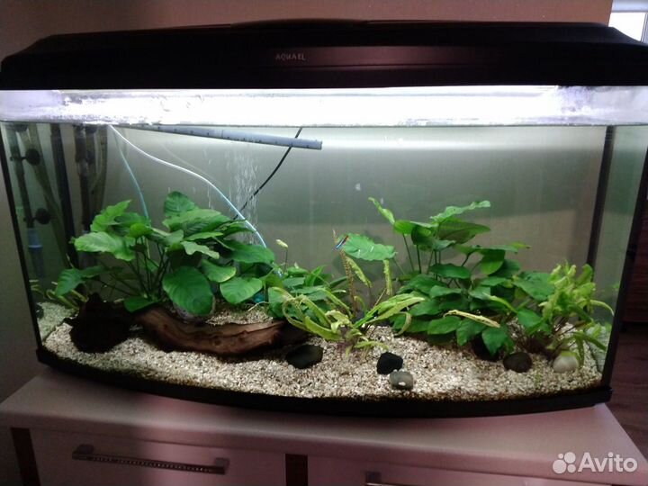 Аквариум