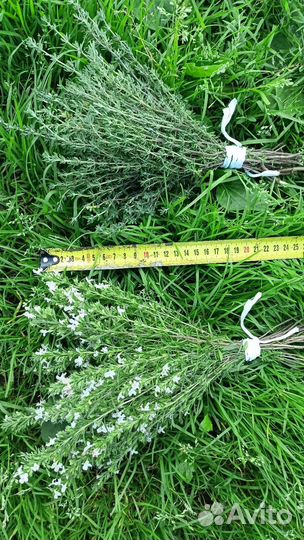 Венички из полыни, лаванды, шалфея, чабреца