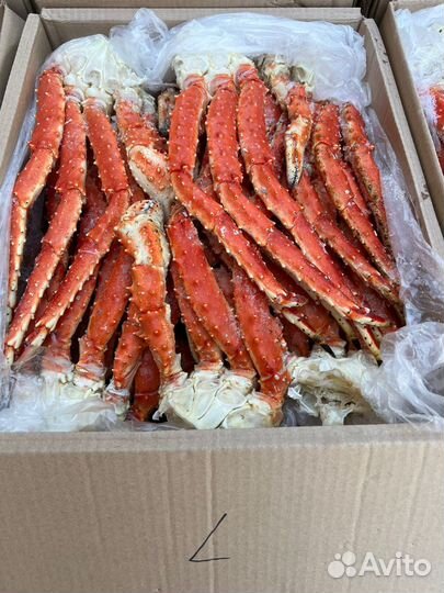 Краб Камчатский размер L