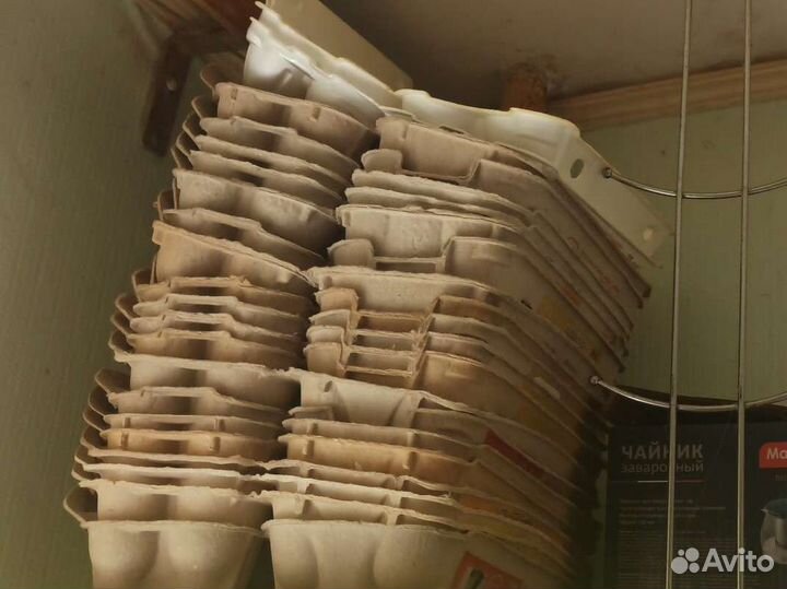 Ячейки для яиц