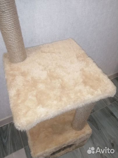 Когтеточка с домиком