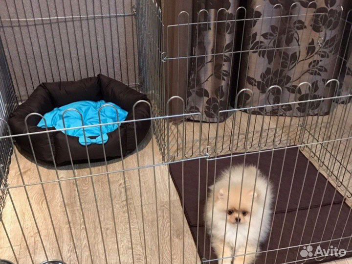 Вольер манеж для собак разных размеров