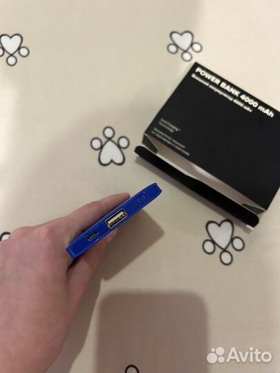 Powerbank 4000