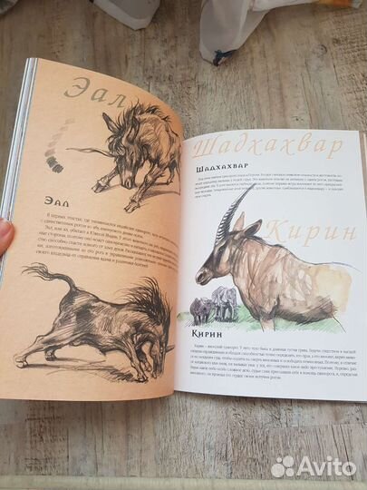 Единороги. Магический мир