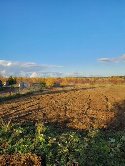 Участок 15,7 сот. (ИЖС)