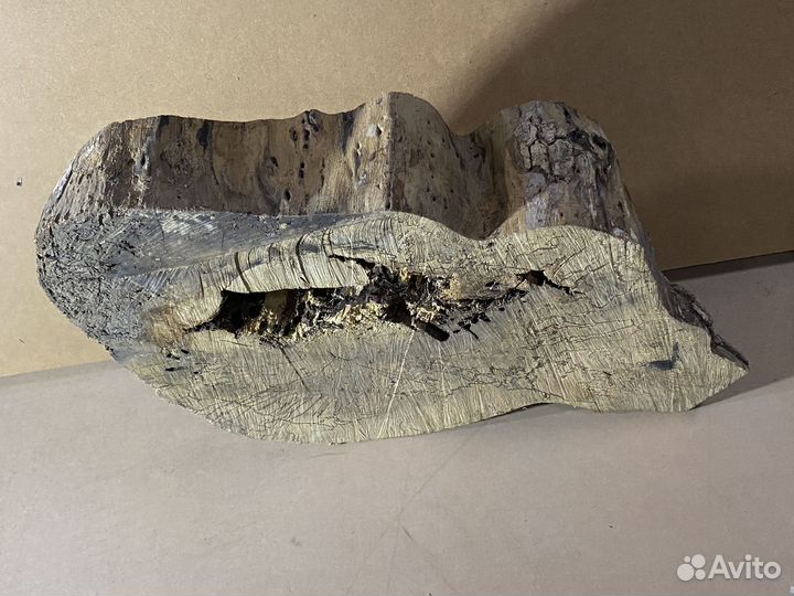 Слэбы торцевые спилы сухие