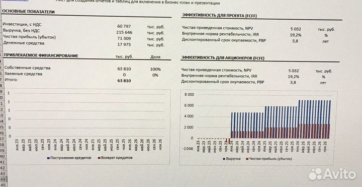 Бизнес-план, экспертиза бизнес-плана