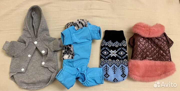 Одежда для той терьера