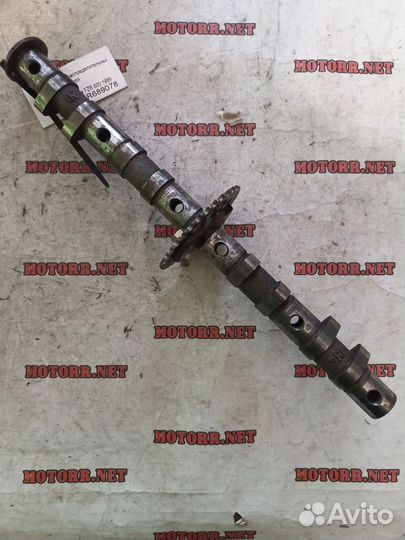 Распредвал впуск fzr600