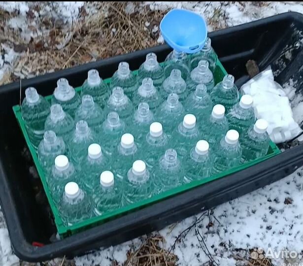 Березовый сок 2024