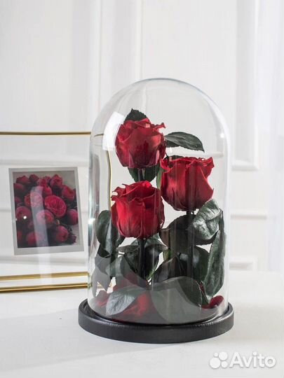 Вечная роза в колбе