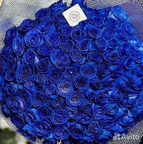 Синие розы. Букеты Цветы доставка