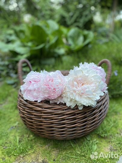 Кашпо из искусственного ротанга