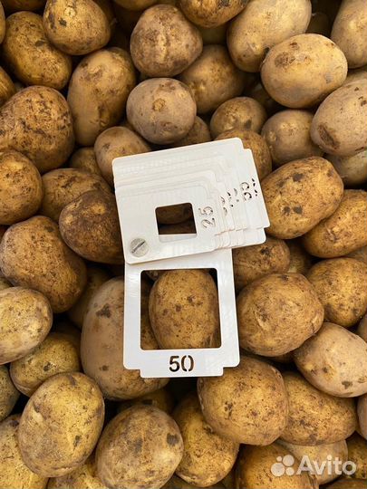 Продам картофель