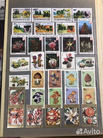 Альбом с марками растения животные