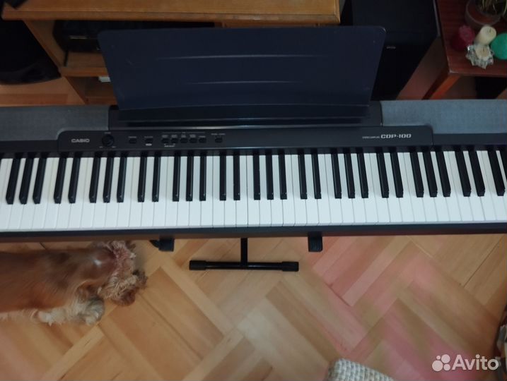 Цифровое пианино casio cdp 100