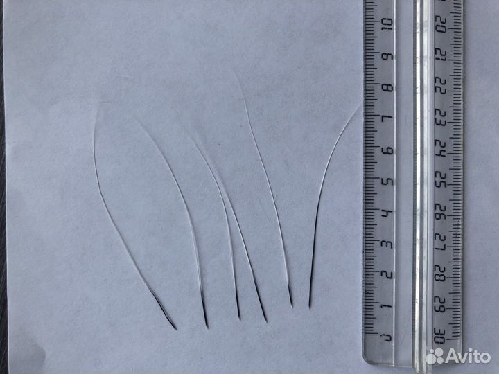 Кошачьи усы