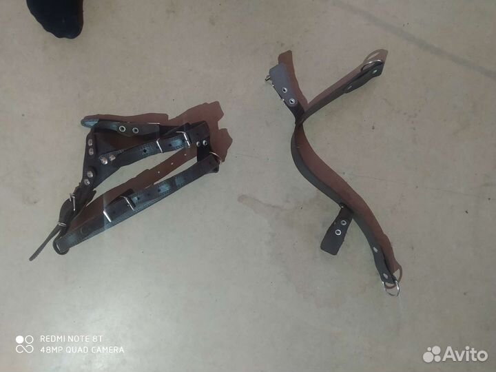 Шлея для собак