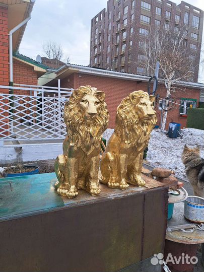 Золотой лев