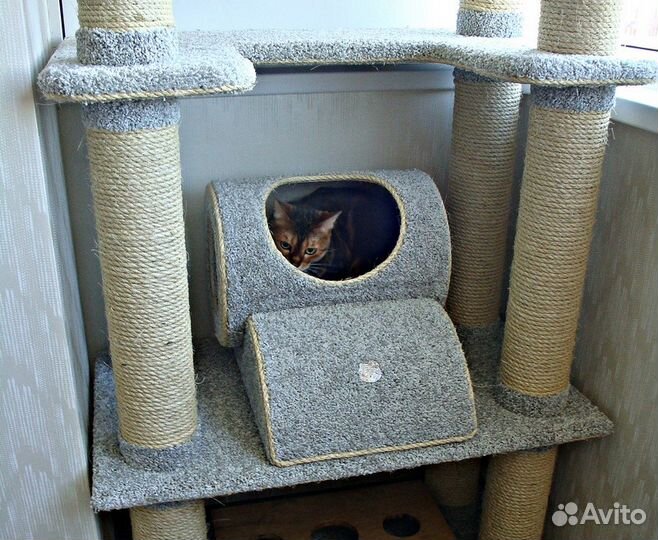 Когтеточка-комплекс 