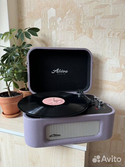 Виниловый проигрыватель alive audio