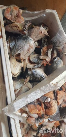 На корм животным