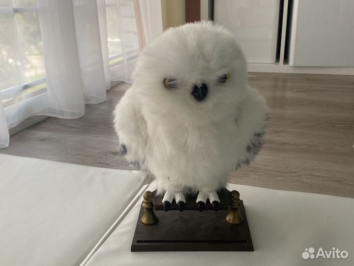 Сова букля гарри поттер электоранная