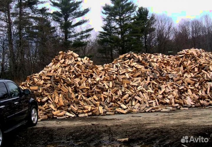 Дрова березовые