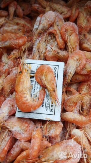 Креветка Азовская (Черноморская )